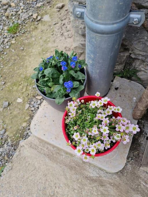 Appartement De La Laiterie Avec Petit Jardin. Eysus Dış mekan fotoğraf